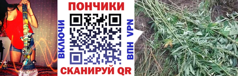 Купить где Копейск Каннабис планчик